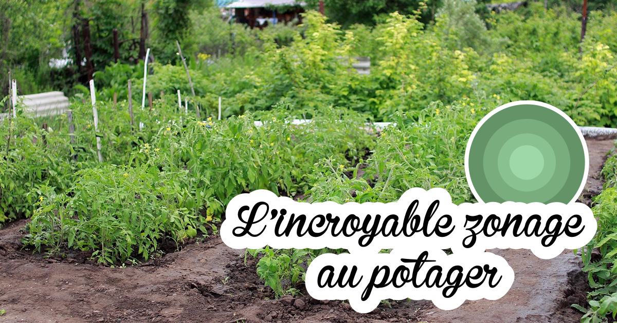 Le Zonage En Permaculture : Un Jardinage Efficace | Dr. Jonquille & Mr. Ail