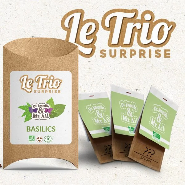 Trio surprise de basilic - détail - semences bio et reproductibles