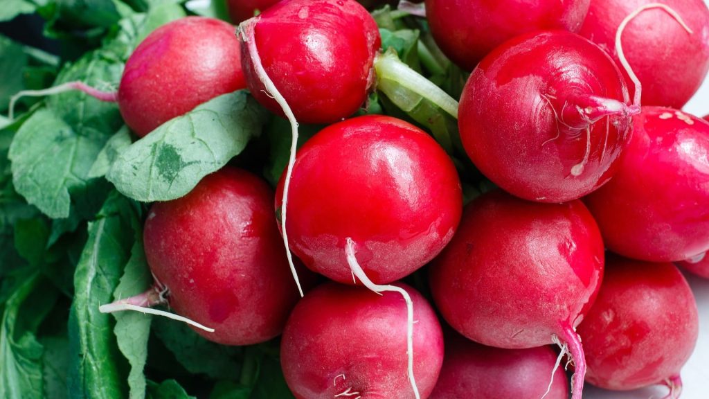 Légumes qui poussent vite