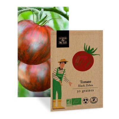 Tomate Black Zebra - Graines Bio et Reproductibles - Dr. Jonquille & Mr. Ail