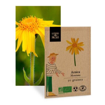 Arnica Montant - Graines Bio et Reproductibles - Dr. Jonquille & Mr. Ail