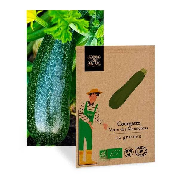 Courgette Verte Non Coureuse Des Maraichers - Graines Bio et Reproductibles - Dr. Jonquille & Mr. Ail