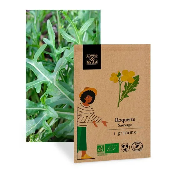 Roquette Sauvage - Graines Bio et Reproductibles - Dr. Jonquille & Mr. Ail