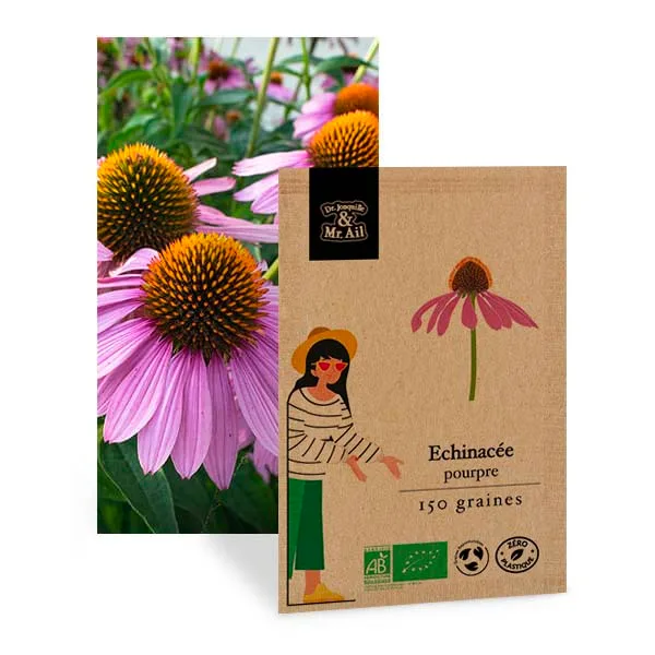 Echinacées pourpre - Graines bio et Reproductibles - Dr. Jonquille & Mr. Ail