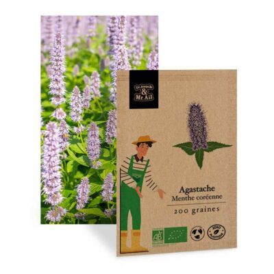 Graine bio et reproductibles - Agastache Menthe Coréenne - Dr. Jonquille & Mr. Ail