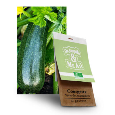 Courgette Verte Non Coureuse Des Maraichers - Graines Bio et Reproductibles - Dr. Jonquille & Mr. Ail