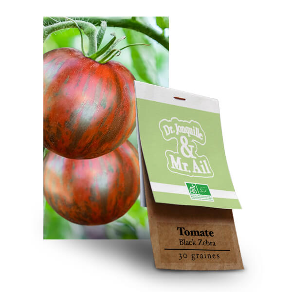 Tomate Black Zebra - Graines Bio et Reproductibles - Dr. Jonquille & Mr. Ail