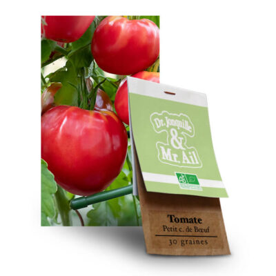 Graines tomate petit coeur de boeuf - bio et reproductibles - Dr. Jonquille & Mr. Ail