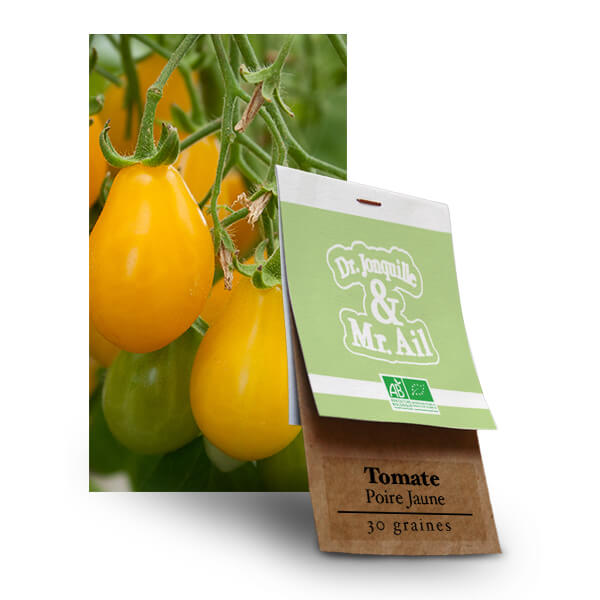 Tomate Cerise Poire Jaune - Graines Bio et Reproductibles - Dr. Jonquille & Mr. Ail