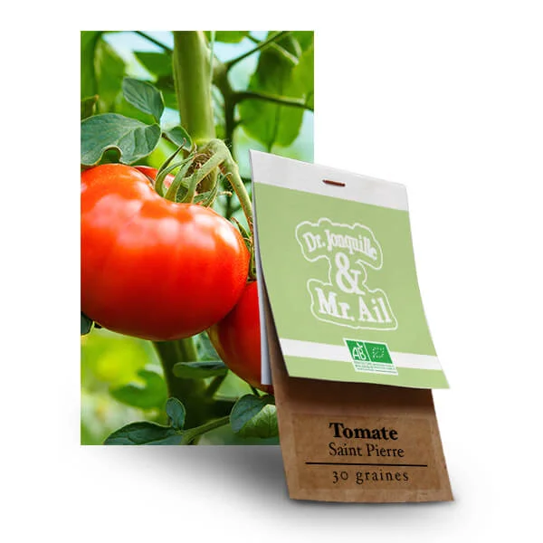 Tomate Saint Pierre - Graines bio et reproductibles - Dr. Jonquille & Mr. Ail