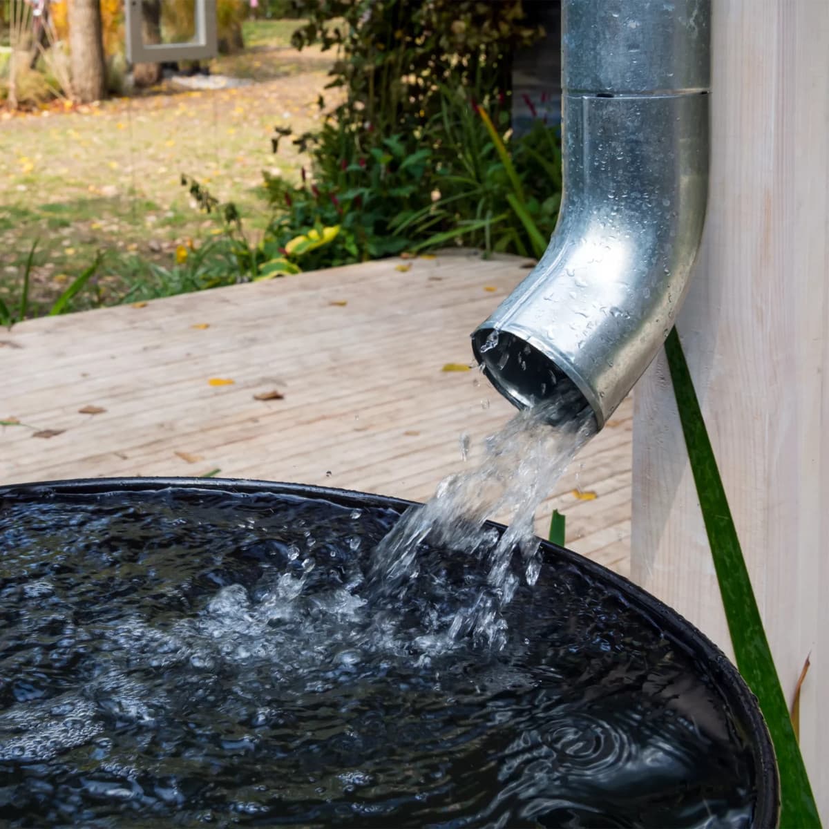 recuperer eau pluie jardin maison