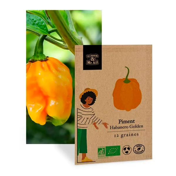 Piment Habanero Golden - Graines Bio et Reproductibles - Dr. Jonquille & Mr. Ail