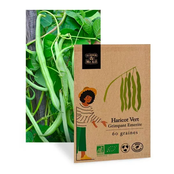 Haricot à rames vert grimpant Emerite - Graines Bio et Reproductibles - Dr. Jonquille & Mr. Ail