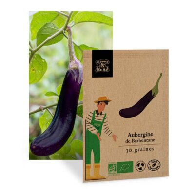 Aubergine de Barbentane - Graines Bio et Reproductibles - Dr. Jonquille & Mr. Ail