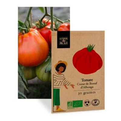 Tomate Coeur de Boeuf d'Albenga Bio et Reproductible - Dr. Jonquille & Mr. Ail