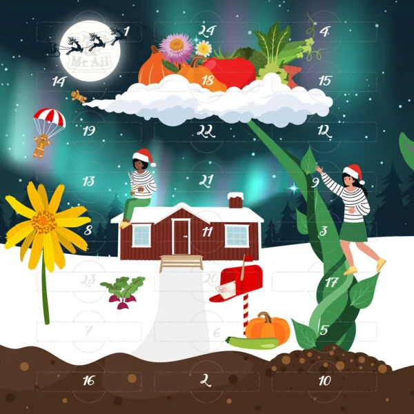 Calendrier de l'avent spécial potager 2023 - close up