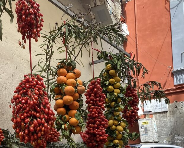 Tomate Naples principale