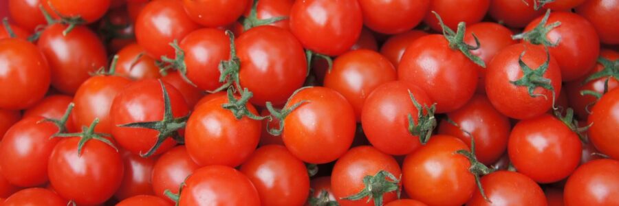 Couper gourmands tomates - Blog - djma