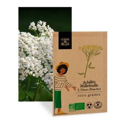 Achillée Millefeuille à Fleurs Blanche - Graines Bio et Reproductibles - Dr. Jonquille & Mr. Ail