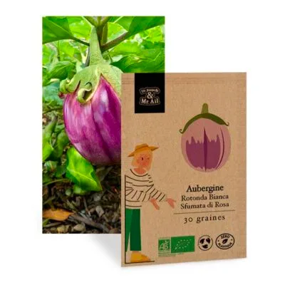 Aubergine Rotonda bianca sfumata di rosa - Graines bio et reproductibles - Dr. Jonquille & Mr. Ail