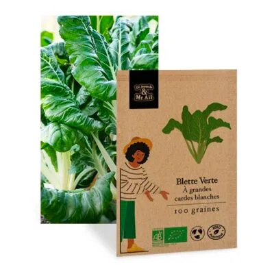 Poirée Verte à Grande Carde Blanche - Graines Bio et Reproductibles - Dr. Jonquille & Mr. Ail