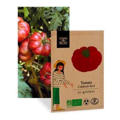 Tomate Calabash Red - Graines bio et reproductibles - Dr. Jonquille & Mr. Ail