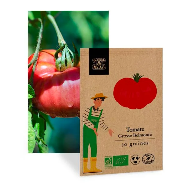 Tomate Grosso Belmonte - Graines Bio et Reproductibles - Dr. Jonquille & Mr. Ail