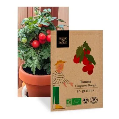 Tomate Chaperon Rouge - Graines bio et reproductibles - Dr. Jonquille & Mr. Ail