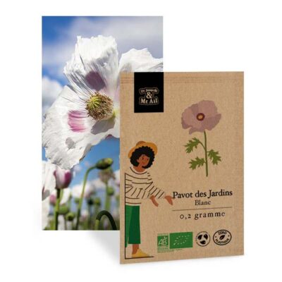 Coquelicot White Poppy - Graines bio et reproductibles - Dr. Jonquille & Mr. Ail