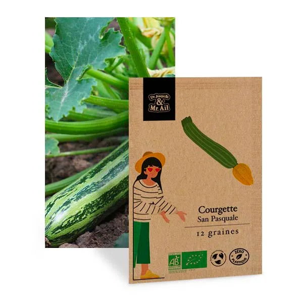 Courgette San Pasquale - Graines Bio et Reproductibles - Dr. Jonquille & Mr. Ail