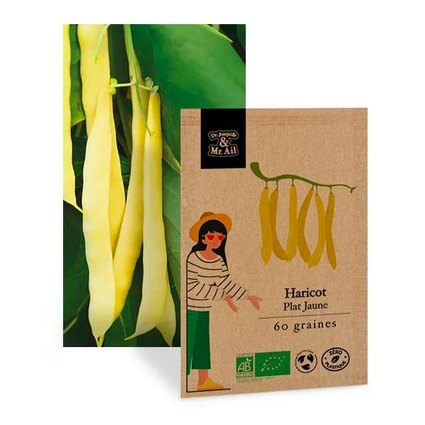 Haricot Plat Mangetout Jaune - Graines Bio et Reproductibles - Dr. Jonquille & Mr. Ail