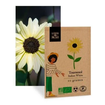 Tournesol Italian White - Graines Bio et Reproductibles - Dr. Jonquille & Mr. Ail