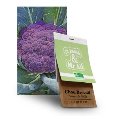 Chou Brocoli Violet de Sicile - Graines Bio et Reproductibles - Dr. Jonquille & Mr. Ail