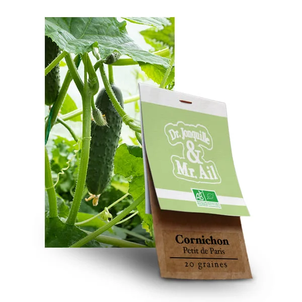 Cornichon Petit de Paris - Graines Bio et Reproductibles - Dr. Jonquille & Mr. Ail