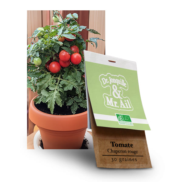 Tomate Chaperon Rouge - Graines bio et reproductibles - Dr. Jonquille & Mr. Ail