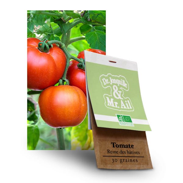 Tomate Reine des hâtives - Graines bio et reproductibles - Dr. Jonquille & Mr. Ail