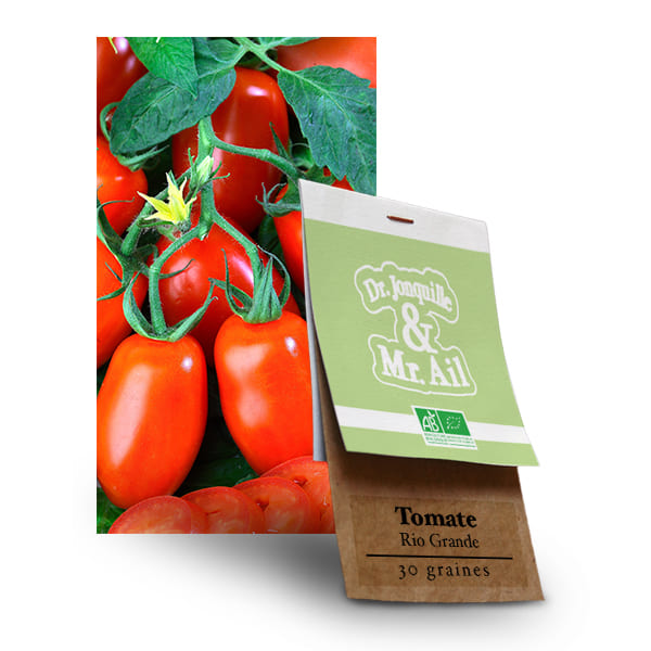 Tomate Rio Grande - Graines Bio et Reproductibles - Dr. Jonquille & Mr. Ail