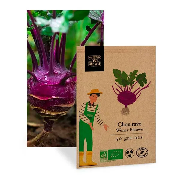 Graine bio et reproductible - chou rave wener blauwe - Dr. Jonquille & Mr. Ail
