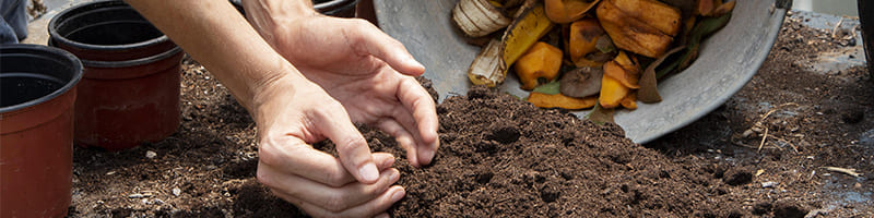 Enrichissez votre sol - Le top 9 des solutions pour économiser l’eau au potager