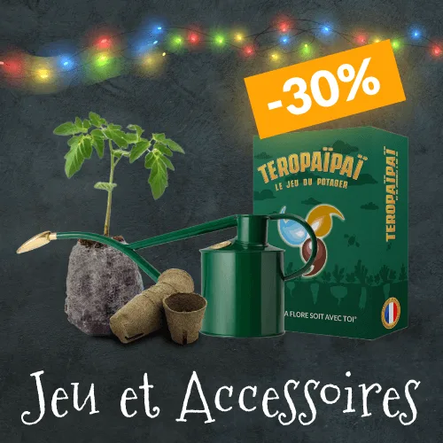 Dr. Jonquille et Mr. Ail - L'étrange Noël de Mr. Ail - jeu & accessoires