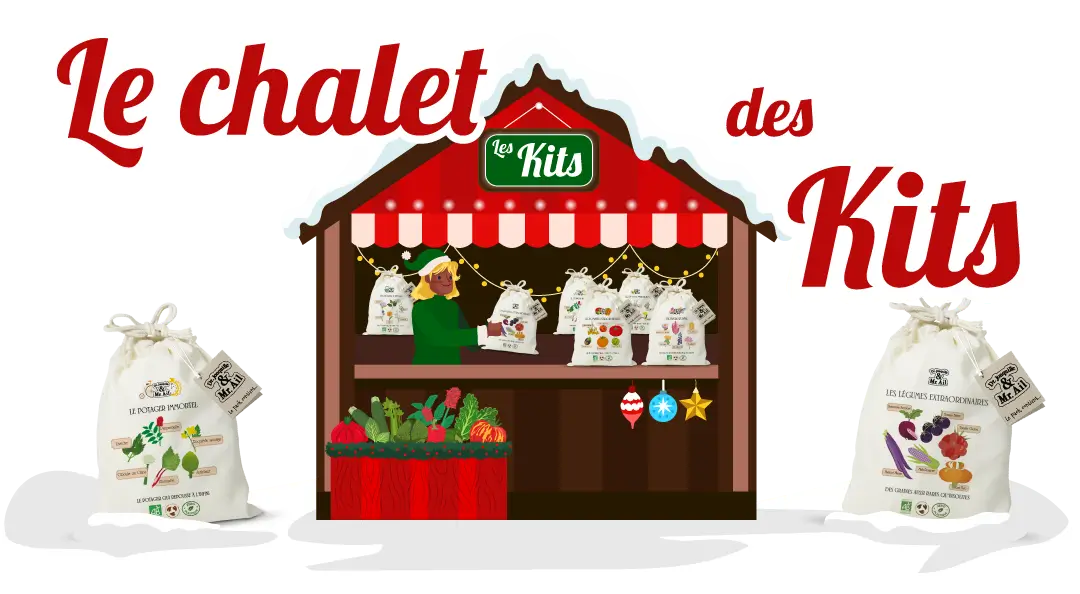 Noël responsable de Dr.Jonquille - Marché de noël, le chalet des kits