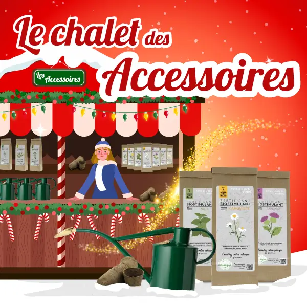 Noël responsable de Dr.Jonquille - Marché de noël, le chalet des accessoires - catégorie