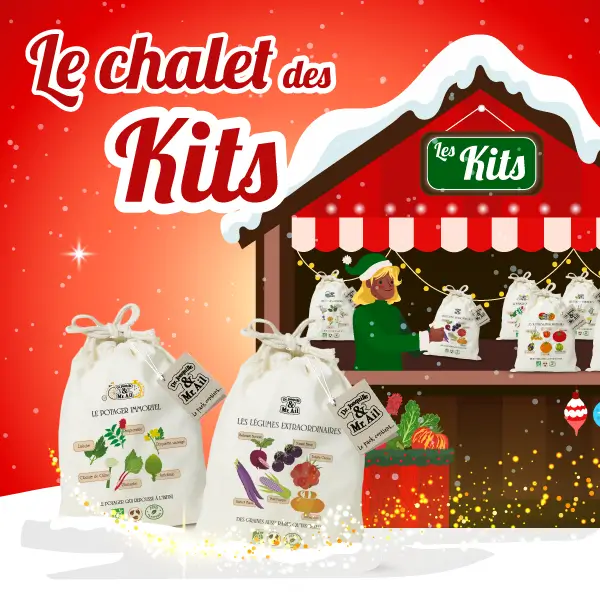 Noël responsable de Dr.Jonquille - Marché de noël, le chalet des kits - catégorie