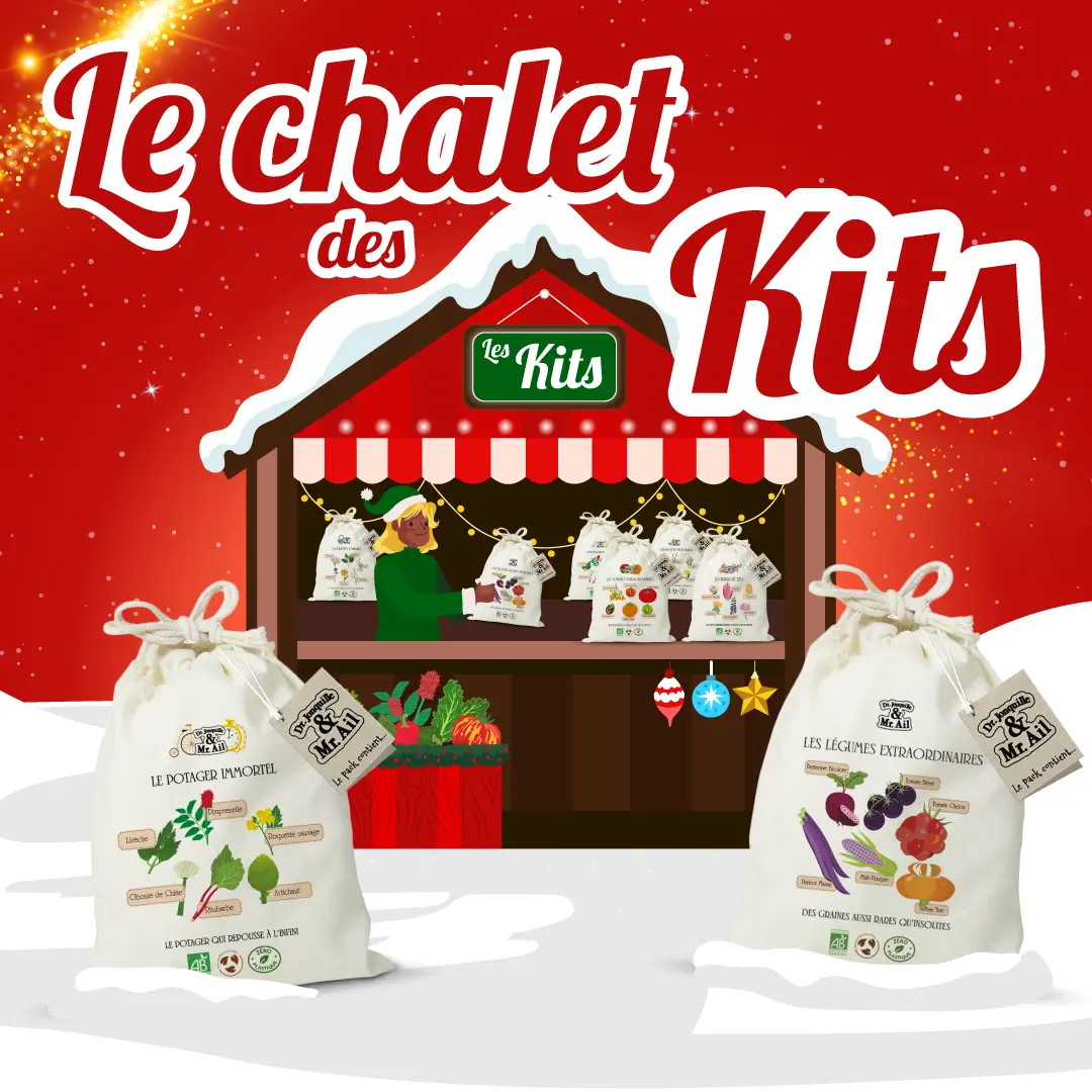 Noël responsable de Dr.Jonquille - Marché de noël, le chalet des kits