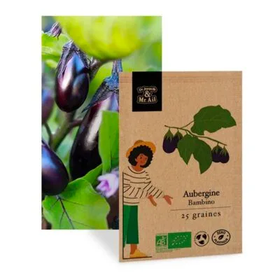 Aubergine bambino - graines bio et reproductible