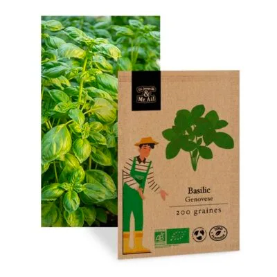 Basilic Génovese - Graines bio et reproductible