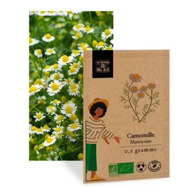 Graine camomille matricaire bio - Dr. Jonquille & Mr. Ail