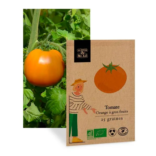 Tomate Orange à Gros Fruits - graine bio et reproductible