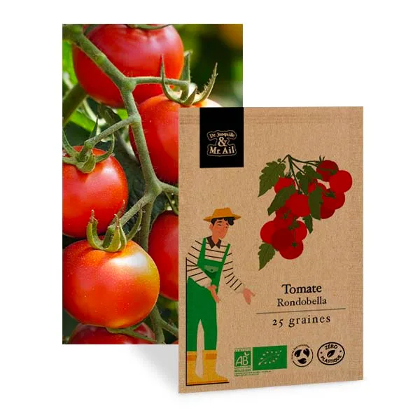 Tomate rondobella - graine bio et reproductible