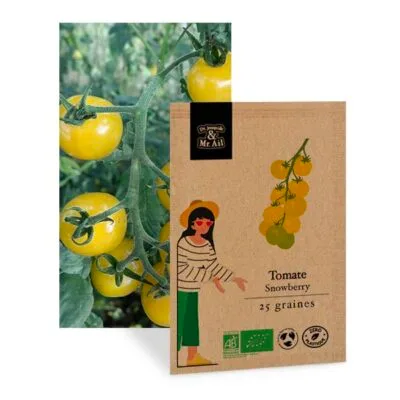 Tomate snowberry - graines bio et reproductible